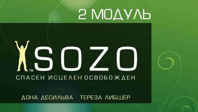 Расширенный курс СОЗО